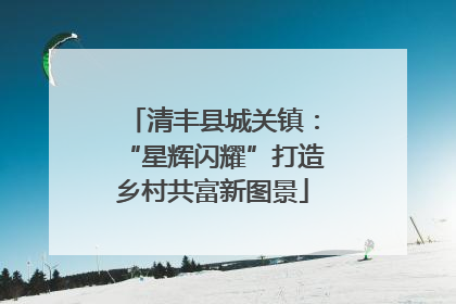 清丰县城关镇：“星辉闪耀”打造乡村共富新图景