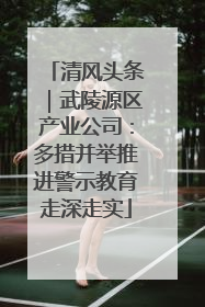 清风头条｜武陵源区产业公司：多措并举推进警示教育走深走实