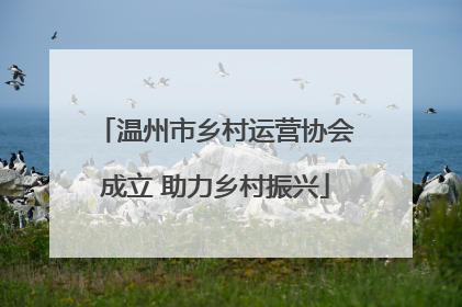 温州市乡村运营协会成立 助力乡村振兴