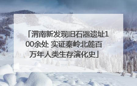 渭南新发现旧石器遗址100余处 实证秦岭北麓百万年人类生存演化史
