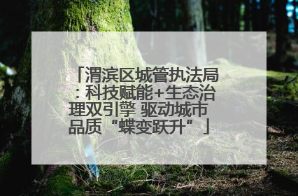 渭滨区城管执法局：科技赋能+生态治理双引擎 驱动城市品质“蝶变跃升”