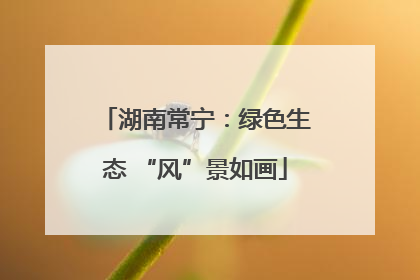 湖南常宁：绿色生态 “风”景如画