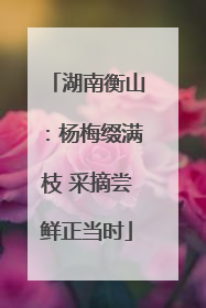 湖南衡山：杨梅缀满枝 采摘尝鲜正当时