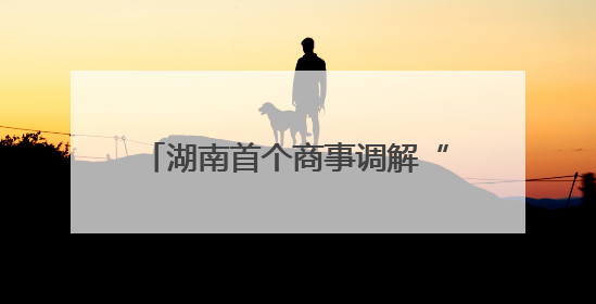 湖南首个商事调解“6.6 公益日”打造解纷“新范式”