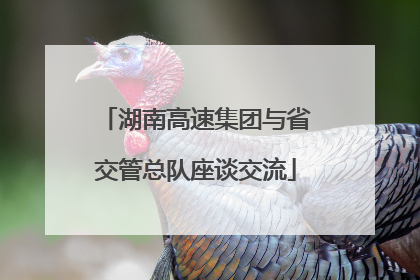 湖南高速集团与省交管总队座谈交流