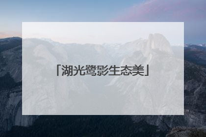 湖光鹭影生态美