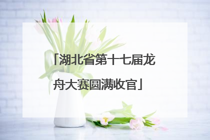 湖北省第十七届龙舟大赛圆满收官