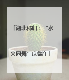 湖北秭归：“水火同舞”庆端午