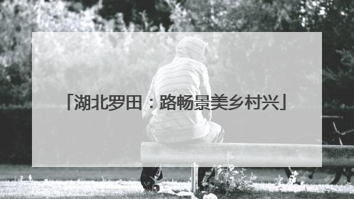 湖北罗田：路畅景美乡村兴