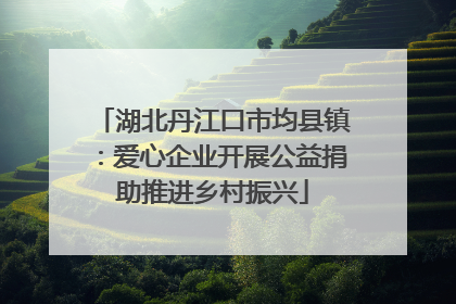 湖北丹江口市均县镇：爱心企业开展公益捐助推进乡村振兴