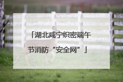 湖北咸宁织密端午节消防“安全网”