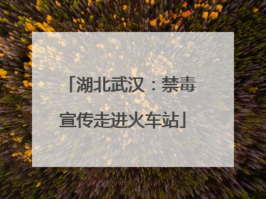 湖北武汉：禁毒宣传走进火车站