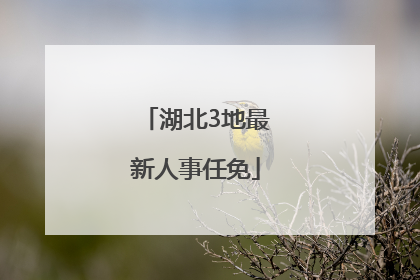湖北3地最新人事任免