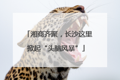湘商齐聚，长沙这里掀起“头脑风暴”