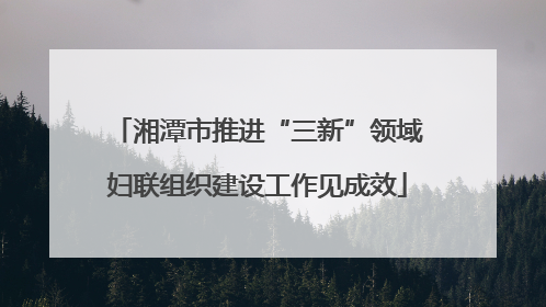 湘潭市推进“三新”领域妇联组织建设工作见成效