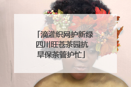 滴灌织网护新绿 四川旺苍茶园抗旱保茶管护忙