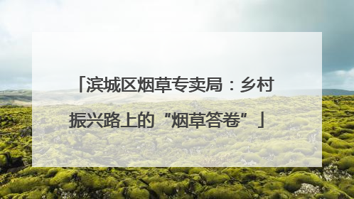 滨城区烟草专卖局：乡村振兴路上的“烟草答卷”
