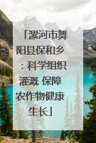 漯河市舞阳县保和乡：科学组织灌溉 保障农作物健康生长