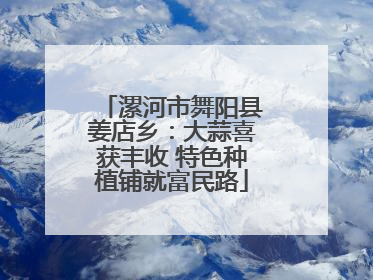 漯河市舞阳县姜店乡：大蒜喜获丰收 特色种植铺就富民路