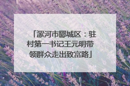 漯河市郾城区：驻村第一书记王元明带领群众走出致富路