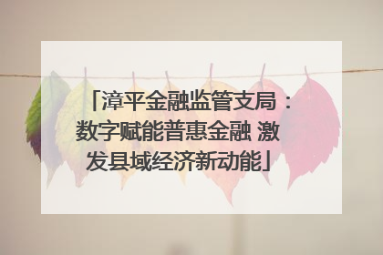 漳平金融监管支局：数字赋能普惠金融 激发县域经济新动能