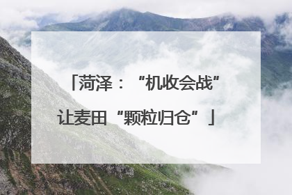 菏泽：“机收会战”让麦田“颗粒归仓”