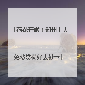 荷花开啦！郑州十大免费赏荷好去处→
