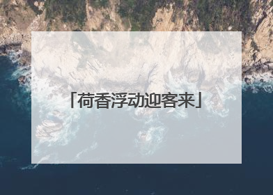荷香浮动迎客来