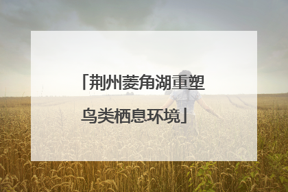 荆州菱角湖重塑鸟类栖息环境