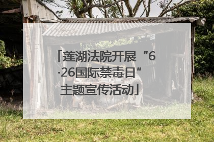 莲湖法院开展“6·26国际禁毒日”主题宣传活动