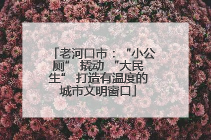 老河口市：“小公厕” 撬动 “大民生” 打造有温度的城市文明窗口