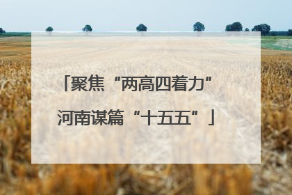 聚焦“两高四着力” 河南谋篇“十五五”