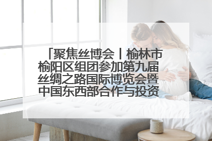 聚焦丝博会丨榆林市榆阳区组团参加第九届丝绸之路国际博览会暨中国东西部合作与投资贸易洽谈会