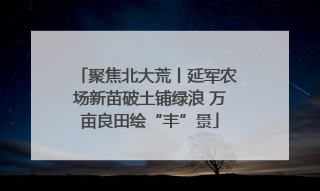聚焦北大荒丨延军农场新苗破土铺绿浪 万亩良田绘“丰”景