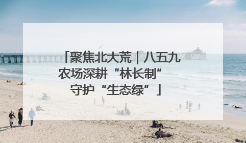 聚焦北大荒｜八五九农场深耕“林长制” 守护“生态绿”