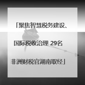 聚焦智慧税务建设、国际税收治理 29名非洲财税官湖南取经