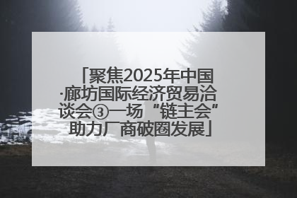 聚焦2025年中国·廊坊国际经济贸易洽谈会③一场“链主会” 助力厂商破圈发展