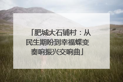 肥城大石铺村：从民生期盼到幸福蝶变奏响振兴交响曲