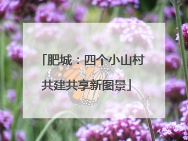肥城：四个小山村共建共享新图景