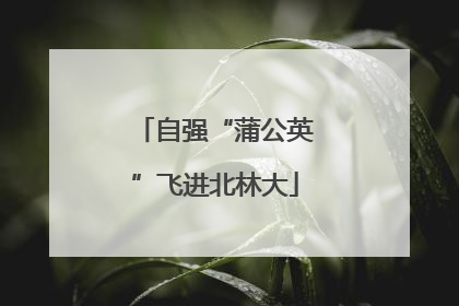 自强“蒲公英”飞进北林大