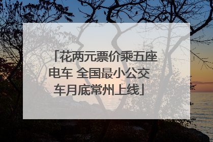 花两元票价乘五座电车 全国最小公交车月底常州上线