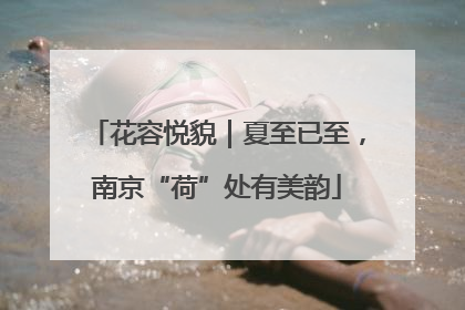花容悦貌｜夏至已至，南京“荷”处有美韵