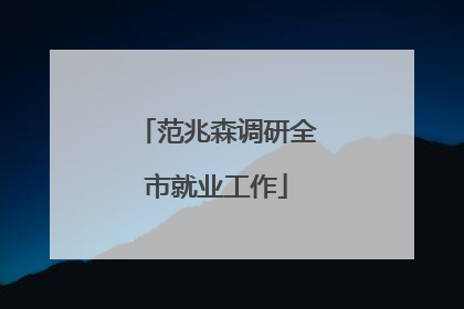 范兆森调研全市就业工作