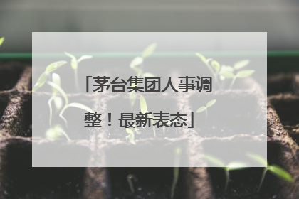茅台集团人事调整！最新表态