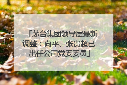茅台集团领导层最新调整：向平、张贵超已出任公司党委委员
