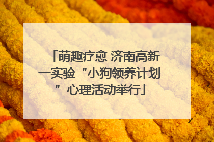 萌趣疗愈 济南高新一实验“小狗领养计划”心理活动举行