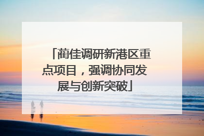 蔺佳调研新港区重点项目，强调协同发展与创新突破