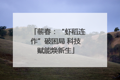 蕲春：“虾稻连作”破困局 科技赋能焕新生