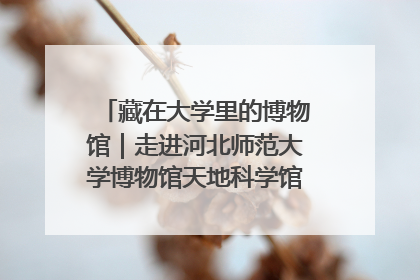 藏在大学里的博物馆｜走进河北师范大学博物馆天地科学馆：在校园里赴一场“宇宙之约”