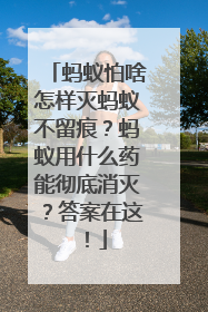 蚂蚁怕啥怎样灭蚂蚁不留痕？蚂蚁用什么药能彻底消灭？答案在这！
